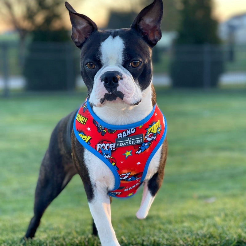 Superhero Reversible Dog Harness 2.0 - Beast & Buckle