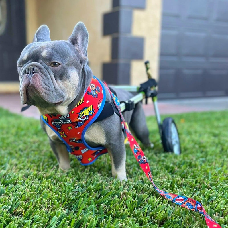Superhero Reversible Dog Harness 2.0 - Beast & Buckle