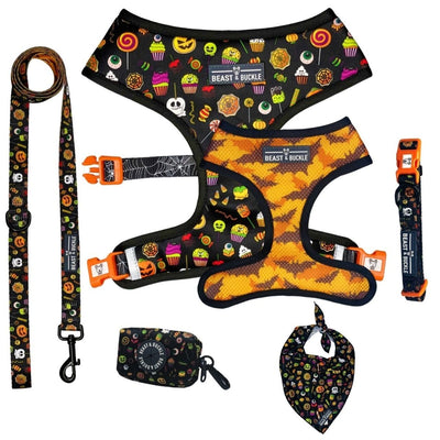 Trick or Treat Harness Collection Bundle - Beast & Buckle