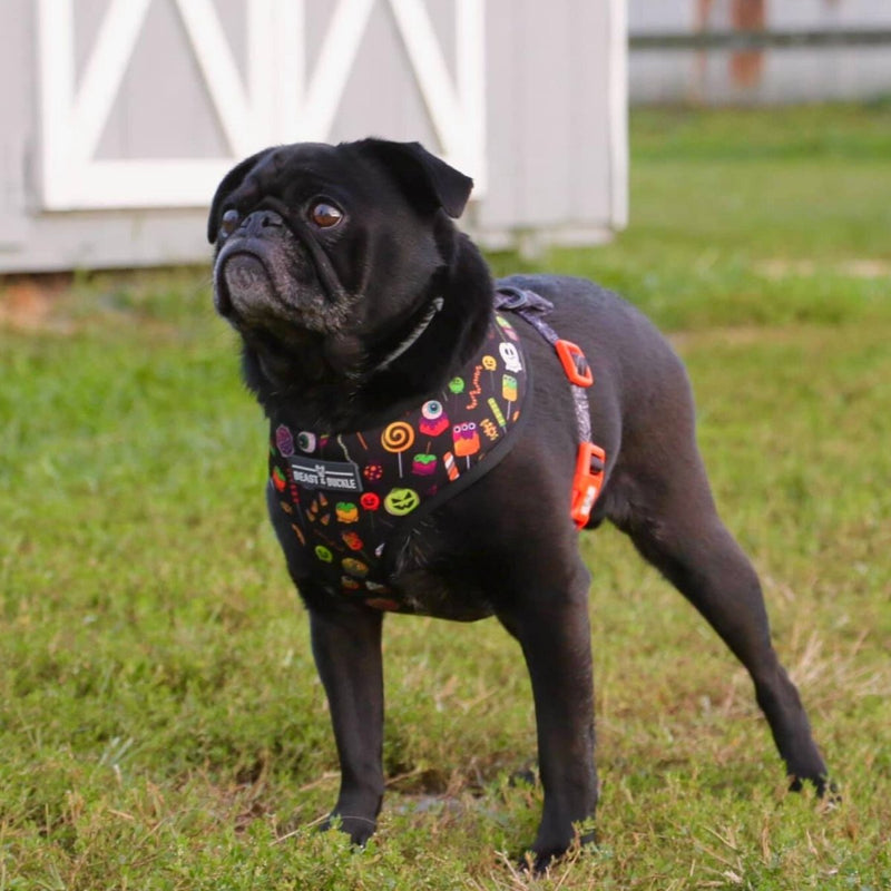 Trick or Treat Reversible Dog Harness - Beast & Buckle